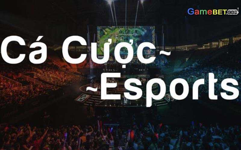 Cá cược thể thao esports: Cùng vip club Tìm hiểu và bắt đầu