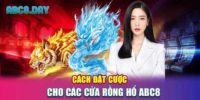 Cách đặt cược cho các cửa rồng hổ ABC8